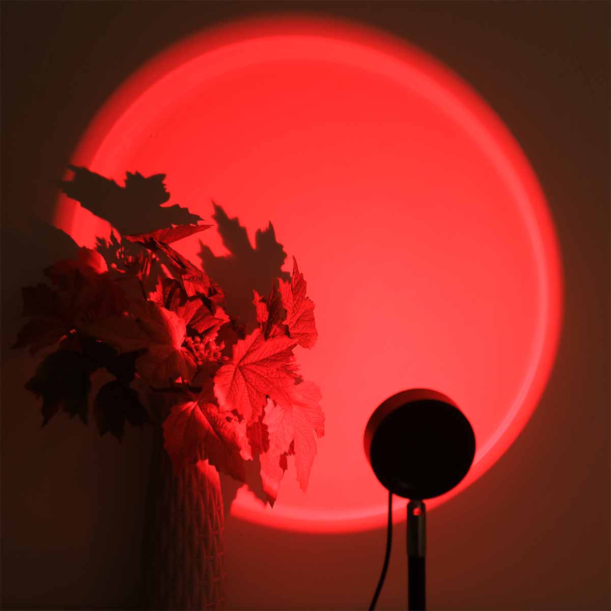 Проекционный светильник «Закат – обзор и цена Photography Lighting Wall
